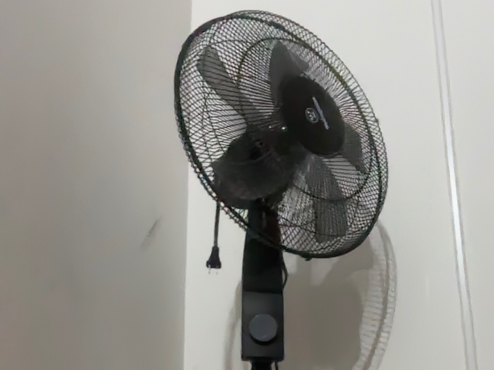 Fan to sell